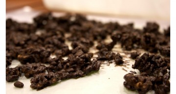Cruixent de cereals Cruixent de cereals