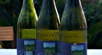 Vi blanc del Massís Vi blanc del Massís