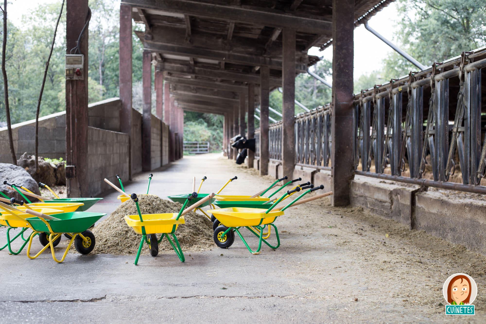 Petits grangers a La Fageda