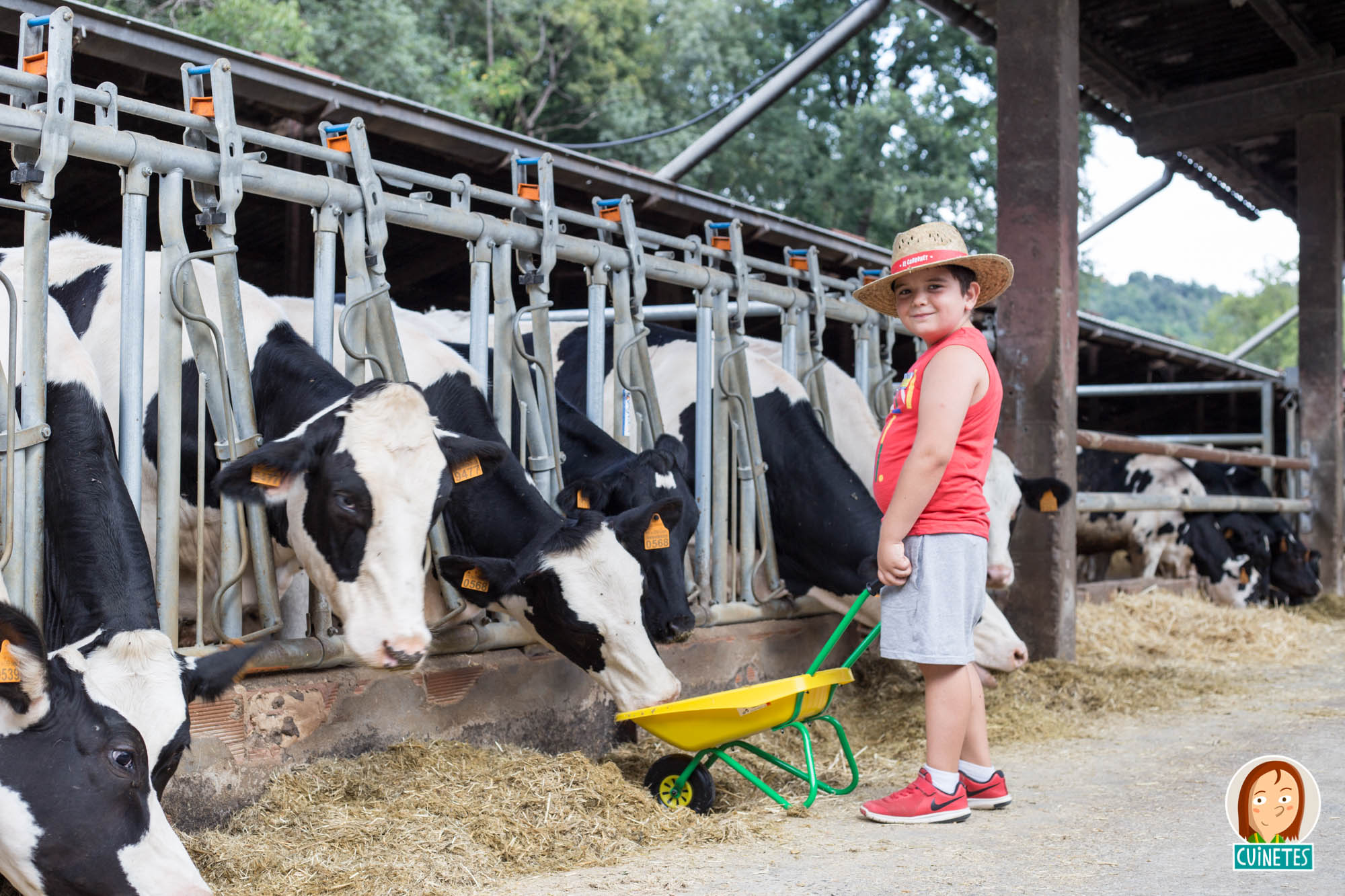 Petits grangers a La Fageda